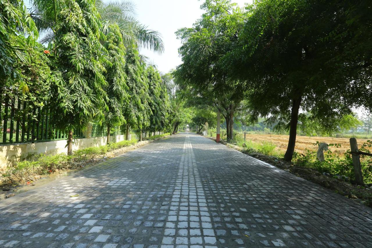 Mann The Palm Retreat Hotel Lucknow Exterior foto